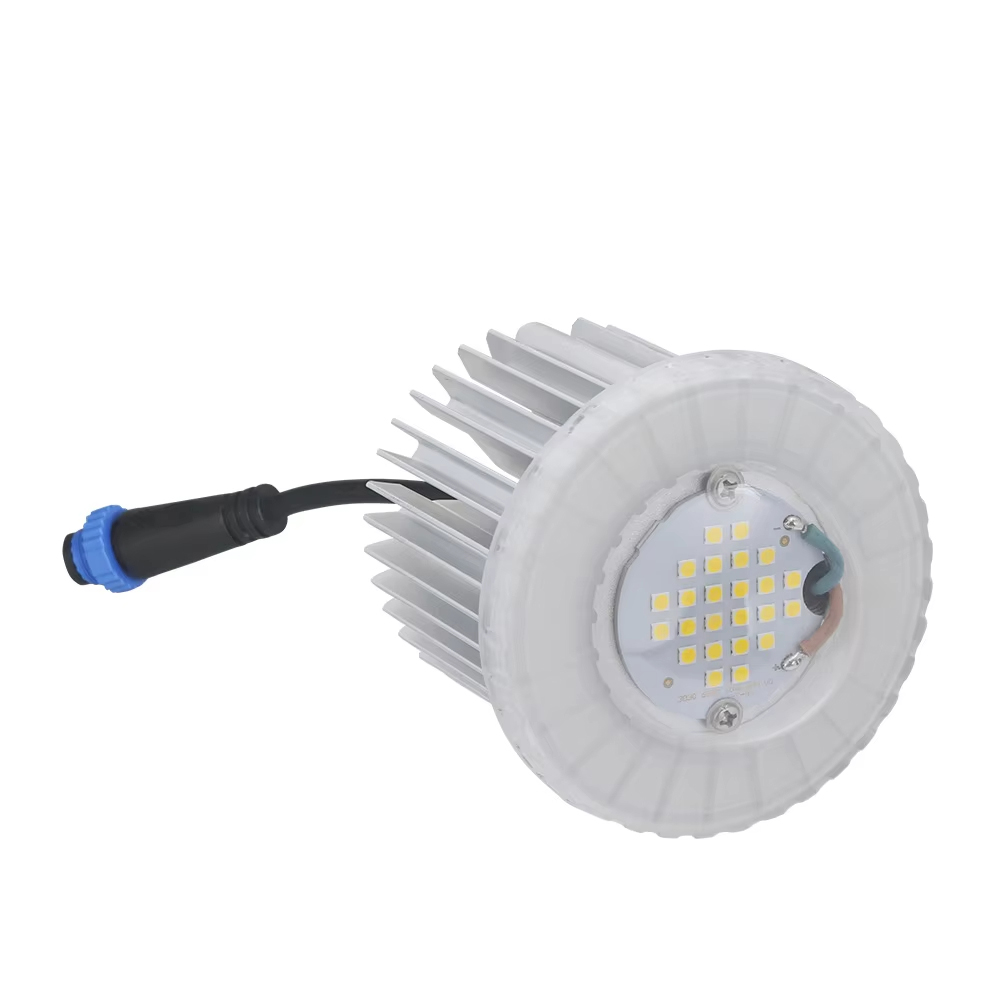 Outdoor LED Module IP66 40W for Garden light