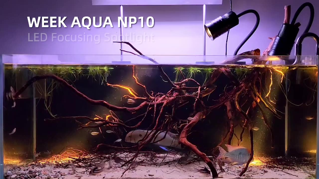 LED Aquarium Submersible Spotlights Focusing Dimming COB IP68 Dive Fish Tank Spotlight