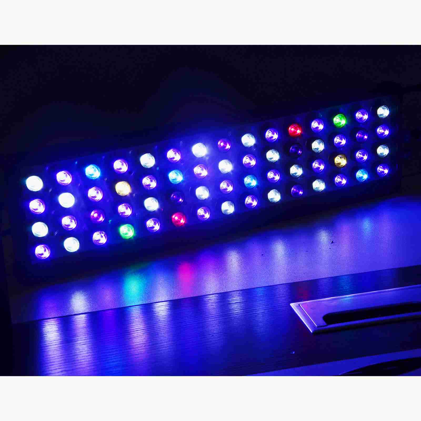 LED Light Fish Tank Full Spectrum with LCD Monitor