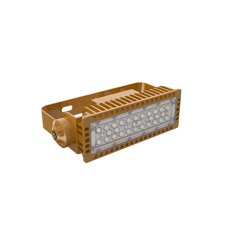 Explosion-proof lamp Triple-proof lamp with dial 1 module 50W